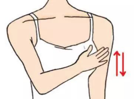 预防乳房下垂，坚挺你的地心引力